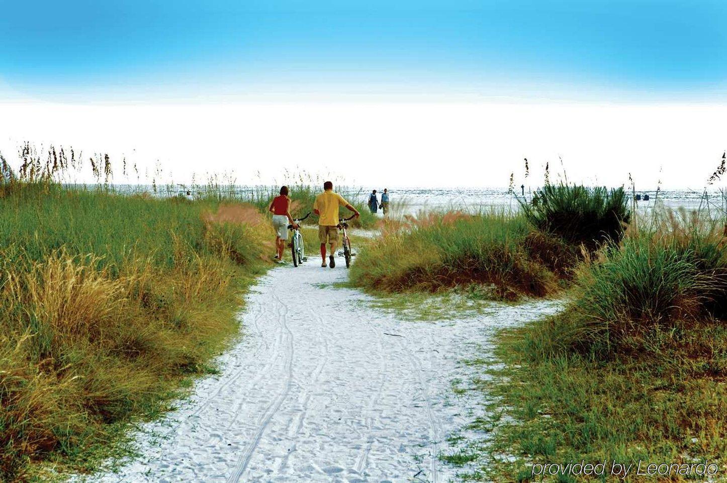 Hilton Garden Inn Sarasota-Bradenton Airport South Bradenton Esterno foto